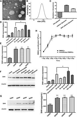 Thermo-sensitive hydrogel combined with SHH expressed RMSCs for rat spinal cord regeneration